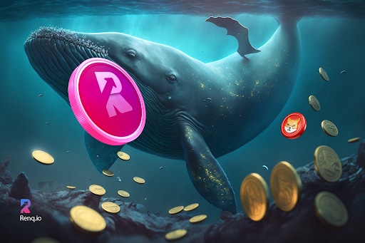 Почему киты продают SHIB и покупают RenQ Finance (RENQ)?